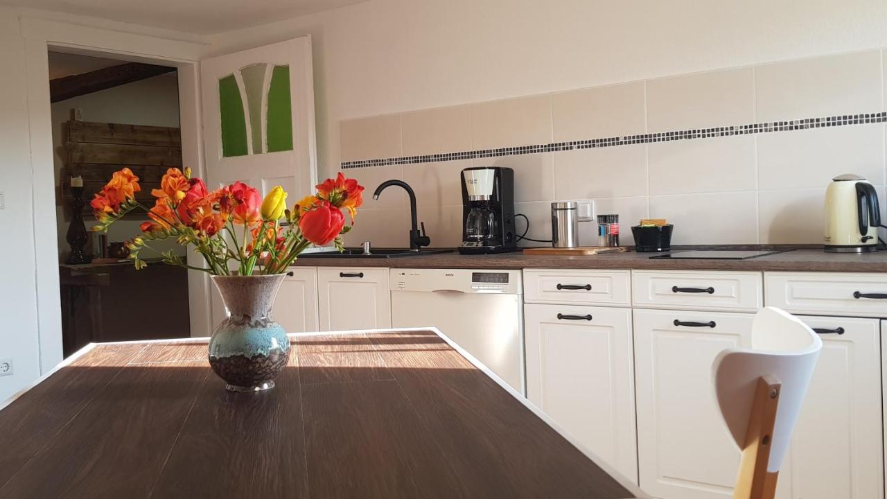 Ferienwohnung Malu Sol Im Harz - Stilvoll, Gemuetlich, Tierfreundlich - Mit Garten Альроде Экстерьер фото