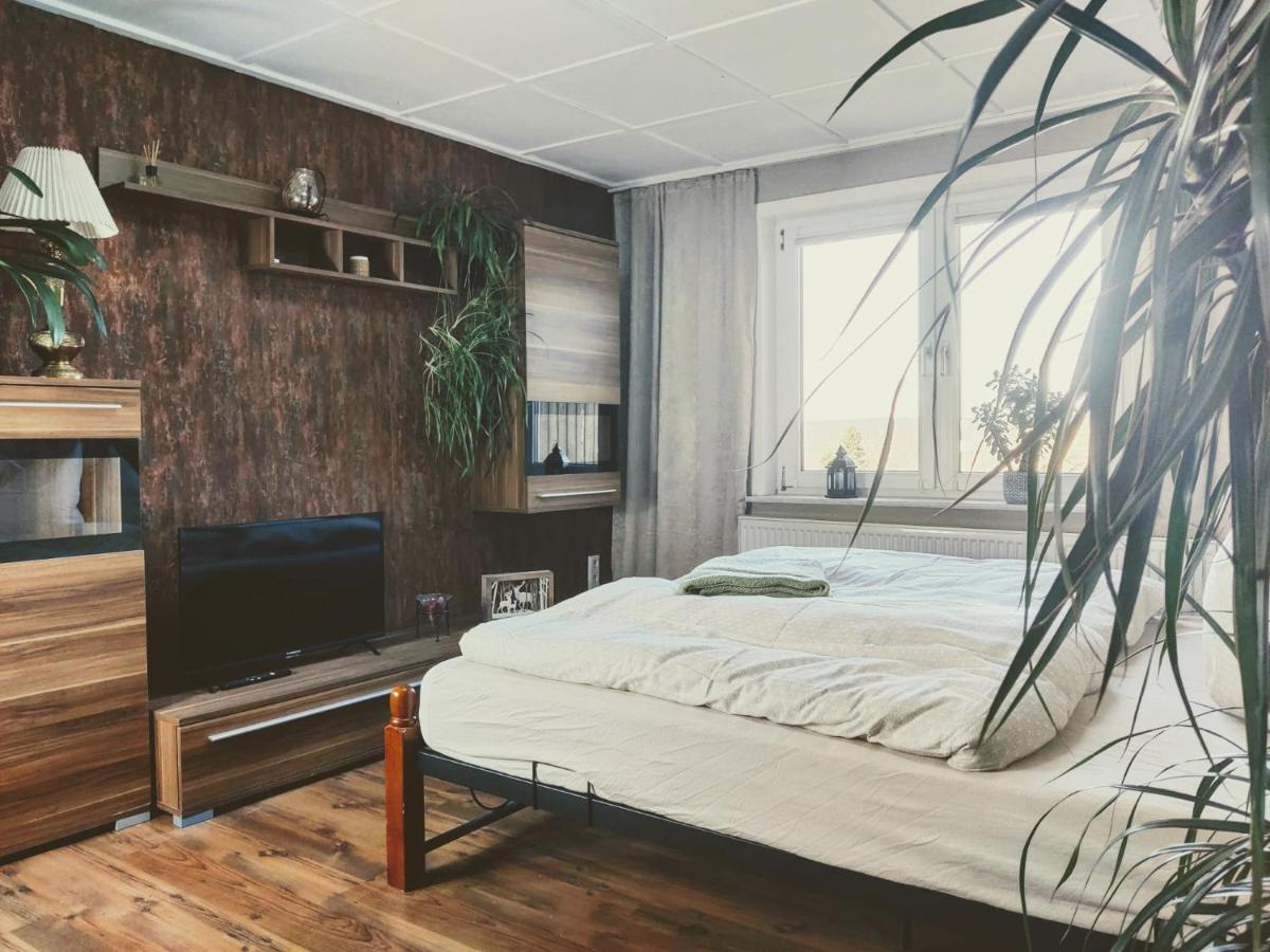 Ferienwohnung Malu Sol Im Harz - Stilvoll, Gemuetlich, Tierfreundlich - Mit Garten Альроде Экстерьер фото