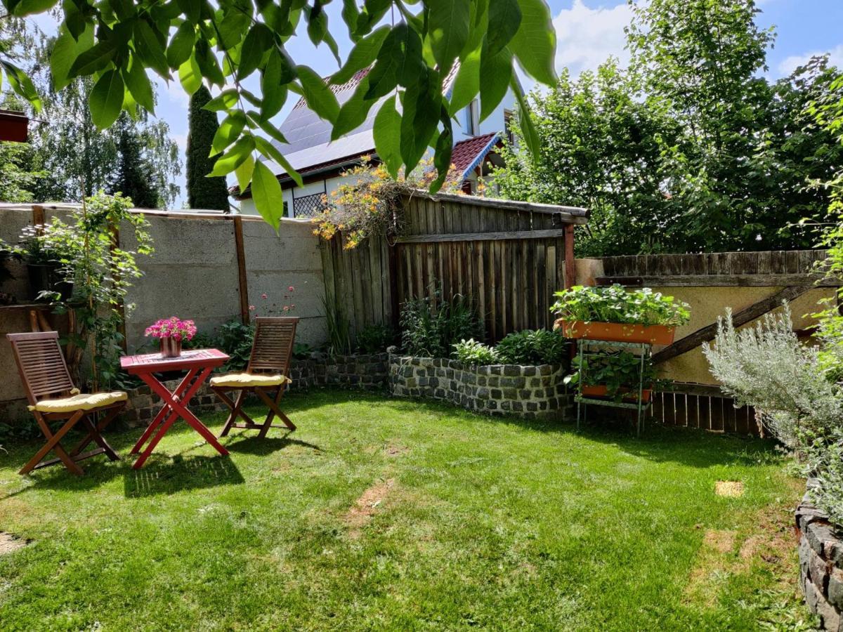 Ferienwohnung Malu Sol Im Harz - Stilvoll, Gemuetlich, Tierfreundlich - Mit Garten Альроде Экстерьер фото